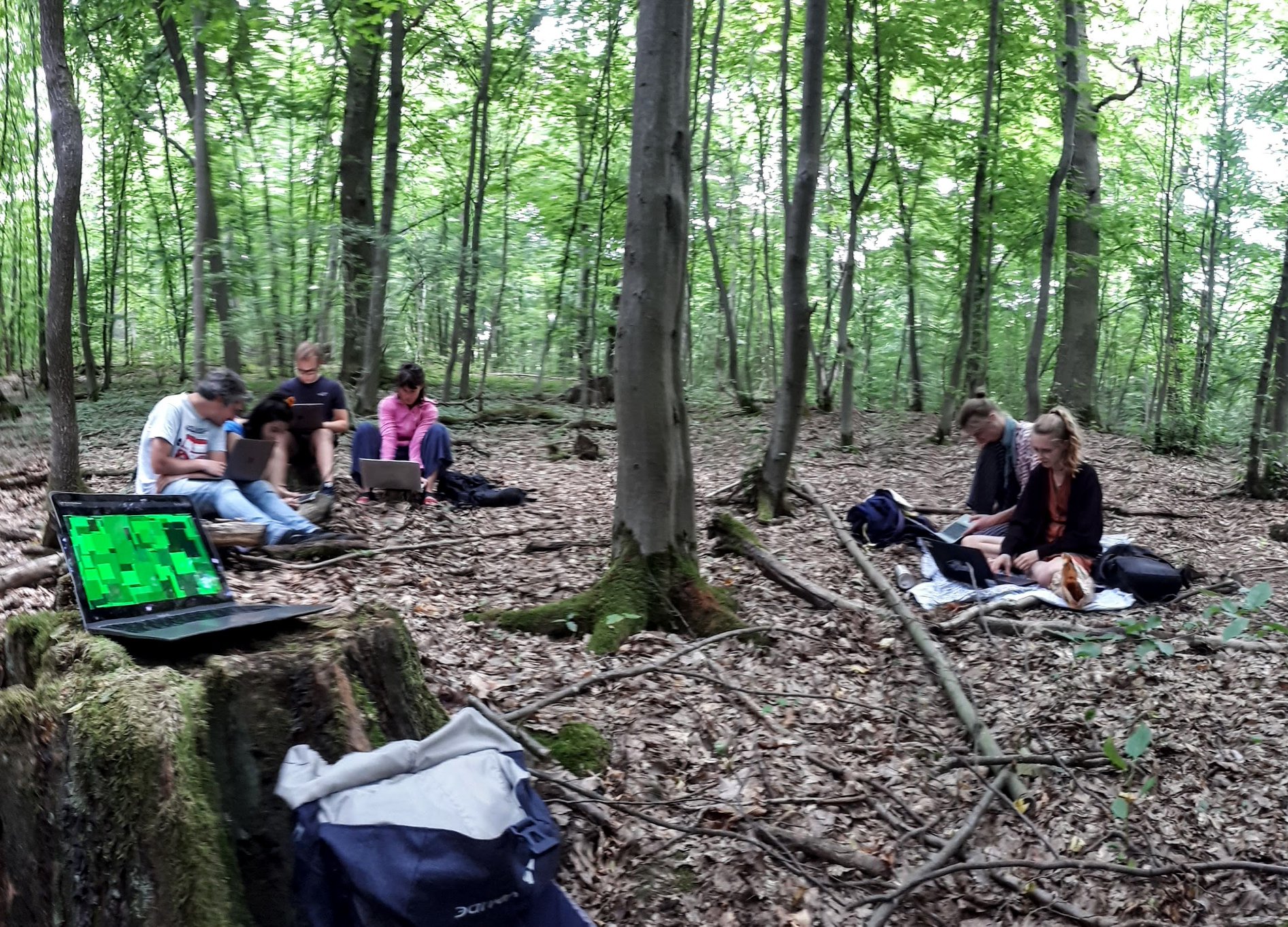 Coding into the Forest